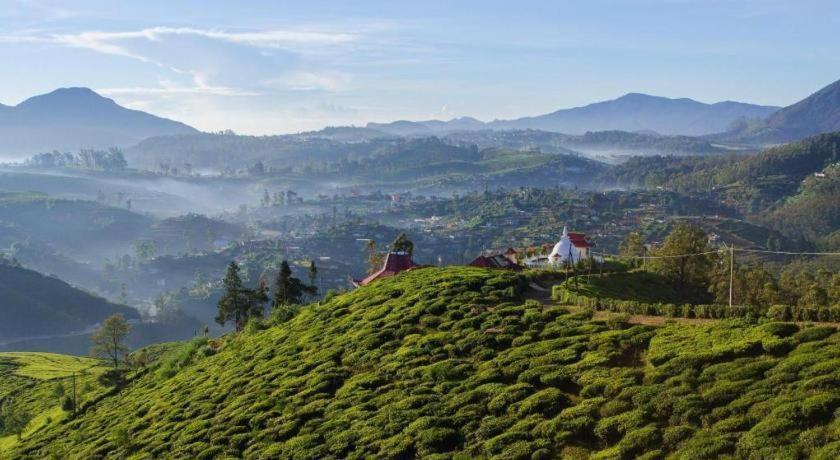 Daffodils Hotel Nuwara Eliya Exterior foto